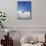 USA, New Mexico, White Sands National Monument, Sand Dune Patterns and Yucca Plants-Terry Eggers-Mounted Photographic Print displayed on a wall