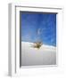 USA, New Mexico, White Sands National Monument, Sand Dune Patterns and Yucca Plants-Terry Eggers-Framed Photographic Print