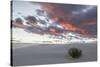 USA, New Mexico, White Sands National Monument. Sunrise on sand dunes.-Jaynes Gallery-Stretched Canvas