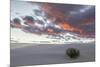 USA, New Mexico, White Sands National Monument. Sunrise on sand dunes.-Jaynes Gallery-Mounted Photographic Print