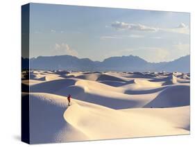 USA, New Mexico, White Sands National Monument-Michele Falzone-Stretched Canvas