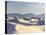 USA, New Mexico, White Sands National Monument-Michele Falzone-Stretched Canvas