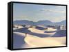 USA, New Mexico, White Sands National Monument-Michele Falzone-Framed Stretched Canvas