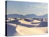 USA, New Mexico, White Sands National Monument-Michele Falzone-Stretched Canvas