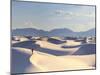 USA, New Mexico, White Sands National Monument-Michele Falzone-Mounted Premium Photographic Print