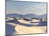 USA, New Mexico, White Sands National Monument-Michele Falzone-Mounted Photographic Print