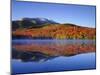 USA, New York, Adirondack Mountains. Algonquin Peak and Heart Lake-Jaynes Gallery-Mounted Premium Photographic Print