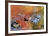 USA, New York, Adirondack Mountains. Autumn Reflections in Stream-Jaynes Gallery-Framed Photographic Print