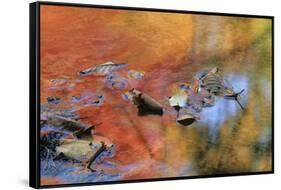 USA, New York, Adirondack Mountains. Autumn Reflections in Stream-Jaynes Gallery-Framed Stretched Canvas