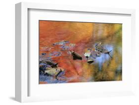 USA, New York, Adirondack Mountains. Autumn Reflections in Stream-Jaynes Gallery-Framed Photographic Print