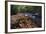 USA, New York, Adirondack Mountains. Leaves and Stream in Forest-Jaynes Gallery-Framed Photographic Print