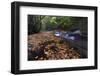 USA, New York, Adirondack Mountains. Leaves and Stream in Forest-Jaynes Gallery-Framed Photographic Print