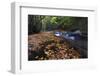 USA, New York, Adirondack Mountains. Leaves and Stream in Forest-Jaynes Gallery-Framed Photographic Print