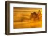 USA, New York, Adirondack Mountains. Morning Mist on Raquette Lake-Jay O'brien-Framed Photographic Print