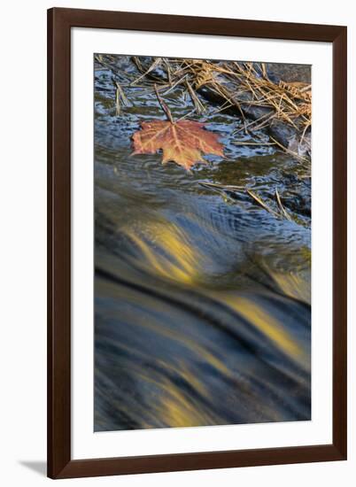 USA, New York, Adirondack Mountains. Reflections in Buttermilk Falls-Jaynes Gallery-Framed Photographic Print