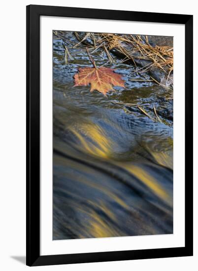 USA, New York, Adirondack Mountains. Reflections in Buttermilk Falls-Jaynes Gallery-Framed Photographic Print