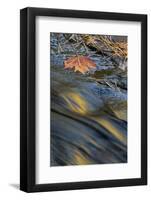 USA, New York, Adirondack Mountains. Reflections in Buttermilk Falls-Jaynes Gallery-Framed Photographic Print