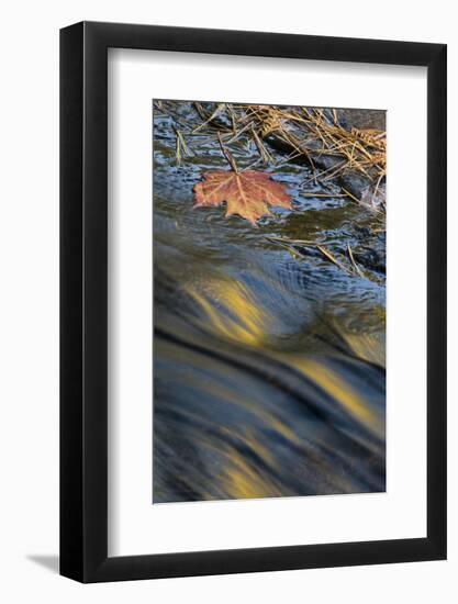 USA, New York, Adirondack Mountains. Reflections in Buttermilk Falls-Jaynes Gallery-Framed Photographic Print