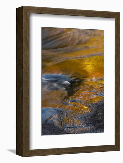 USA, New York, Adirondack State Park. Autumn reflections on stream.-Jaynes Gallery-Framed Photographic Print