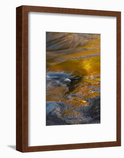 USA, New York, Adirondack State Park. Autumn reflections on stream.-Jaynes Gallery-Framed Photographic Print