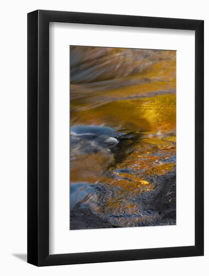 USA, New York, Adirondack State Park. Autumn reflections on stream.-Jaynes Gallery-Framed Photographic Print