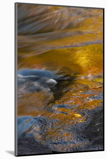 USA, New York, Adirondack State Park. Autumn reflections on stream.-Jaynes Gallery-Mounted Photographic Print