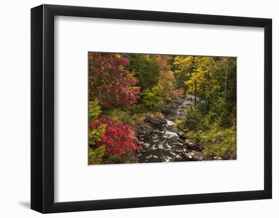 USA, New York, Adirondack State Park. Stream and forest in autumn.-Jaynes Gallery-Framed Photographic Print