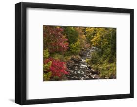 USA, New York, Adirondack State Park. Stream and forest in autumn.-Jaynes Gallery-Framed Photographic Print