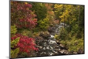USA, New York, Adirondack State Park. Stream and forest in autumn.-Jaynes Gallery-Mounted Photographic Print