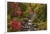 USA, New York, Adirondack State Park. Stream and forest in autumn.-Jaynes Gallery-Framed Photographic Print