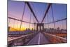 Usa, New York, Brooklyn Bridge-Alan Copson-Mounted Photographic Print
