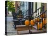 USA, New York, Brooklyn, Brooklyn Heights, Halloween Pumpkins-Alan Copson-Stretched Canvas