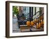 USA, New York, Brooklyn, Brooklyn Heights, Halloween Pumpkins-Alan Copson-Framed Photographic Print