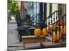 USA, New York, Brooklyn, Brooklyn Heights, Halloween Pumpkins-Alan Copson-Mounted Photographic Print