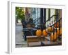 USA, New York, Brooklyn, Brooklyn Heights, Halloween Pumpkins-Alan Copson-Framed Photographic Print