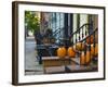 USA, New York, Brooklyn, Brooklyn Heights, Halloween Pumpkins-Alan Copson-Framed Photographic Print