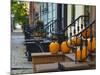 USA, New York, Brooklyn, Brooklyn Heights, Halloween Pumpkins-Alan Copson-Mounted Photographic Print