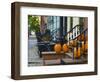 USA, New York, Brooklyn, Brooklyn Heights, Halloween Pumpkins-Alan Copson-Framed Photographic Print