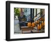 USA, New York, Brooklyn, Brooklyn Heights, Halloween Pumpkins-Alan Copson-Framed Photographic Print