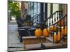 USA, New York, Brooklyn, Brooklyn Heights, Halloween Pumpkins-Alan Copson-Mounted Photographic Print