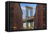 Usa, New York, Brooklyn, Dumbo, Manhattan Bridge and Empire State Building-Michele Falzone-Framed Stretched Canvas