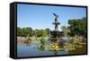 USA, New York, Central Park, Angel of the Waters, in Bethesda Fountain (sculpted 1873)-Samuel Magal-Framed Stretched Canvas