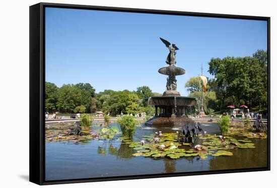 USA, New York, Central Park, Angel of the Waters, in Bethesda Fountain (sculpted 1873)-Samuel Magal-Framed Stretched Canvas