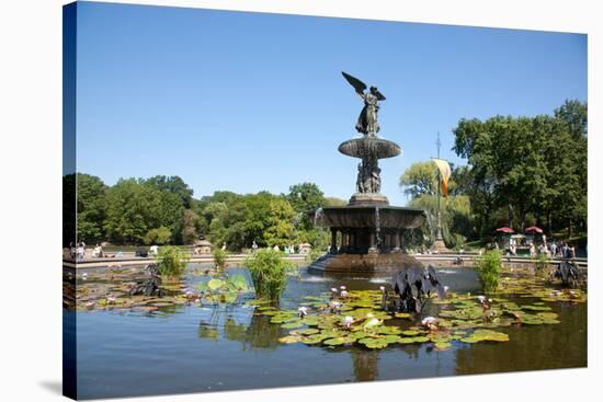 USA, New York, Central Park, Angel of the Waters, in Bethesda Fountain (sculpted 1873)-Samuel Magal-Stretched Canvas