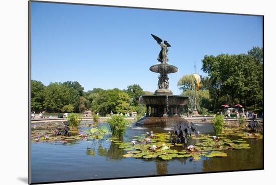 USA, New York, Central Park, Angel of the Waters, in Bethesda Fountain (sculpted 1873)-Samuel Magal-Mounted Photographic Print