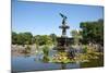 USA, New York, Central Park, Angel of the Waters, in Bethesda Fountain (sculpted 1873)-Samuel Magal-Mounted Photographic Print