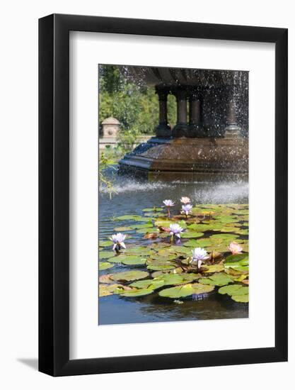 USA, New York, Central Park, Angel of the Waters, in Bethesda Fountain (sculpted 1873)-Samuel Magal-Framed Photographic Print