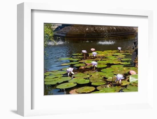 USA, New York, Central Park, Fountain and water lily-Samuel Magal-Framed Photographic Print