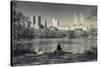 USA, New York, Central Park, Upper West Side Buildings in Fall-Walter Bibikow-Stretched Canvas