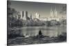 USA, New York, Central Park, Upper West Side Buildings in Fall-Walter Bibikow-Stretched Canvas